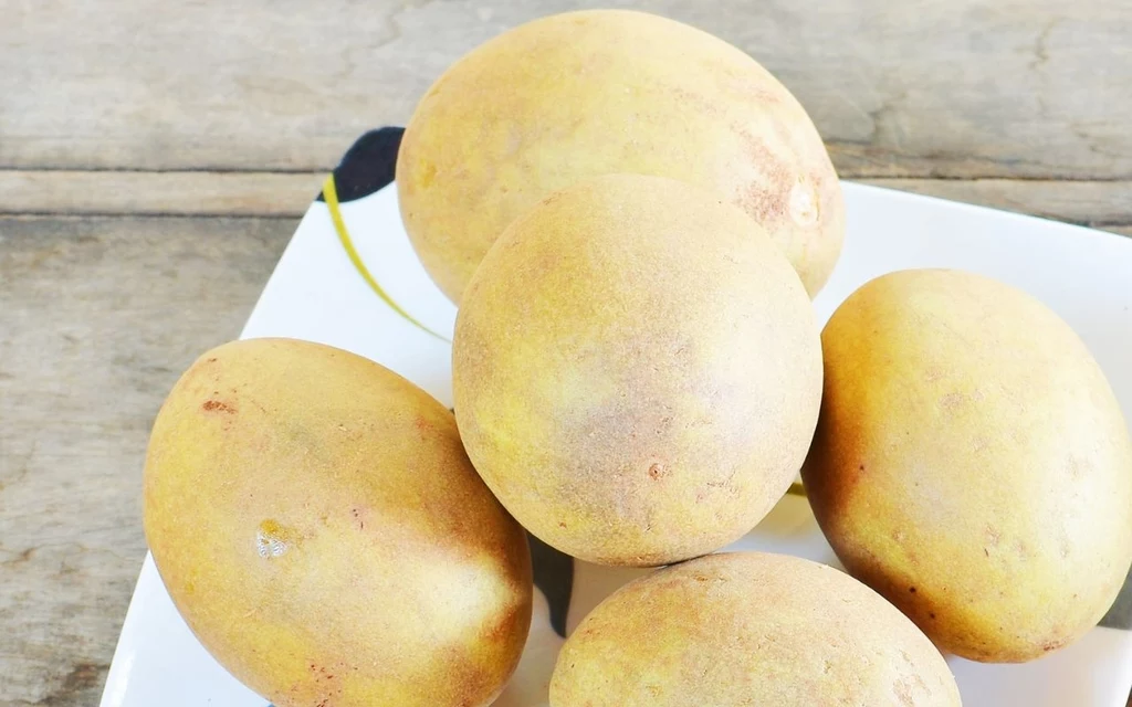 Sapodilla to tropikalny owoc z wyglądu przypominający ziemniaka