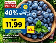 Borówki amerykańskie