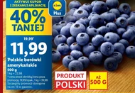Borówki