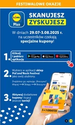 Pol'and'Rock Festival - Lidl
