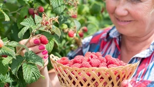 Te owoce działają jak naturalny botoks. Wystarczy garść dziennie