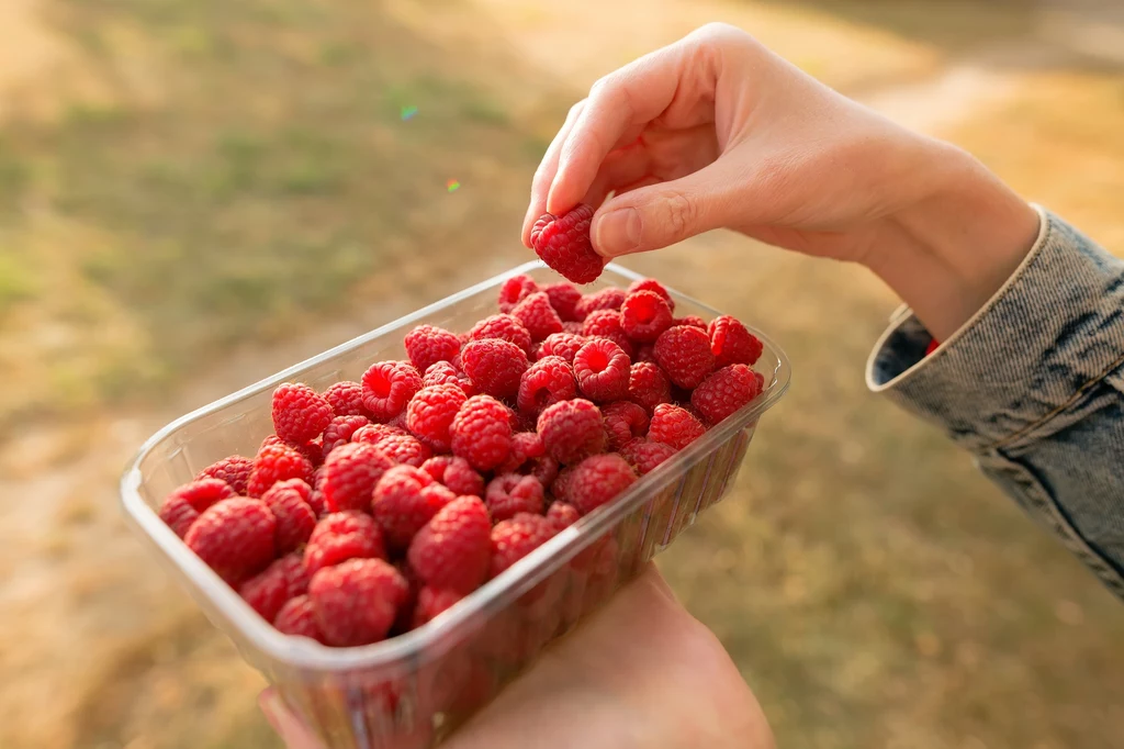 Maliny to nie tylko smaczny owoc, ale potężne narzędzie przeciw starzeniu się skóry Ręka sięgająca po świeżą malinę z przezroczystego plastikowego pojemnika wypełnionego malinami, trzymanego przez drugą osobę.