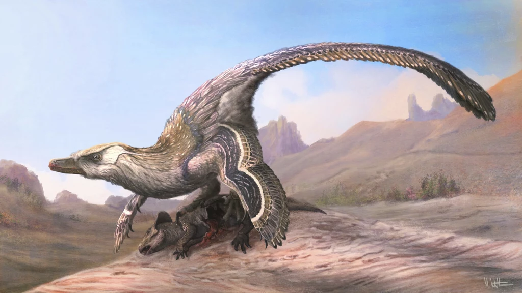 Welociraptor miał zakrzywione pazury na stopach. Shri miał za to mordercze kciuki Welociraptor miał zakrzywione pazury na stopach. Shri miał za to mordercze kciuki