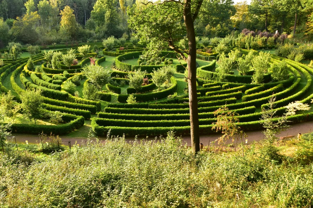 Arboretum Bramy Morawskiej w Raciborzu Labirynt z żywopłotów, z centralnym punktem ozdobionym małymi drzewami, otoczony alejkami i zielenią parkową, w słonecznym świetle dnia.