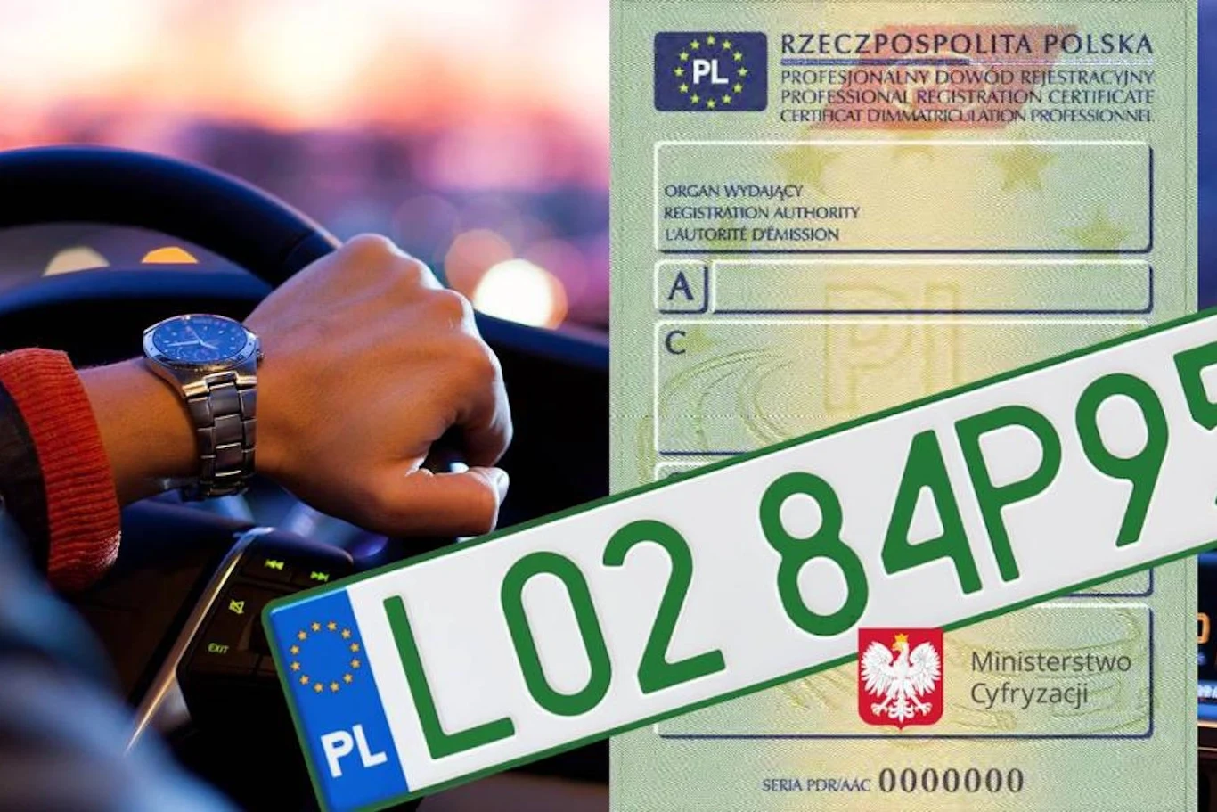 Rząd chce, by sprzedawcy używanych samochodów mogli korzystać z profesjonalnych tablic rejestracyjnych Kierowca trzymający kierownicę samochodu z widocznym zegarkiem na ręku, w tle fragment wzoru polskiego dowodu rejestracyjnego i zielona tablica rejestracyjna z numerem testowym.
