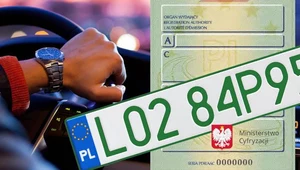 Zielone tablice dla używanych aut spalinowych. Rząd szykuje zmiany