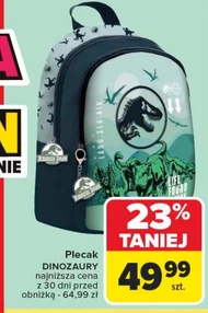 Plecak