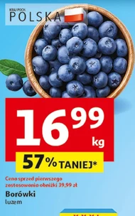 Чорниця