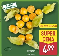 Physalis