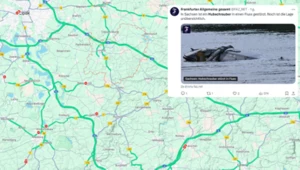 Śmigłowiec Bundeswehry runął do rzeki. Trwa akcja służb