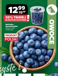 Borówka amerykańska