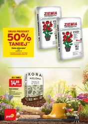Inspirujący tydzień - Polomarket