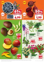 Smakuj lato z rabatem - Kaufland