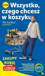 Zakupy z połową ceny - Lidl