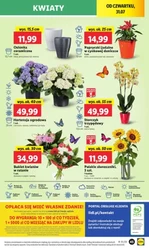 Zakupy z połową ceny - Lidl