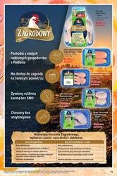 Letnie hity - Makro Cash&Carry