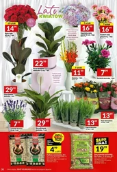 Zawsze po drodze! - Twój Market