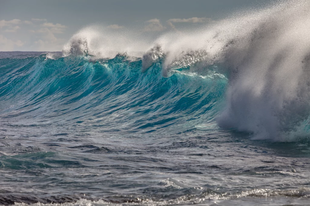 Fale tsunami powstają po trzęsieniach ziemi Fale tsunami powstają po trzęsieniach ziemi