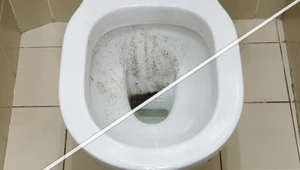 Zostaw w toalecie przed urlopem. Po powrocie będzie świeżo i czysto