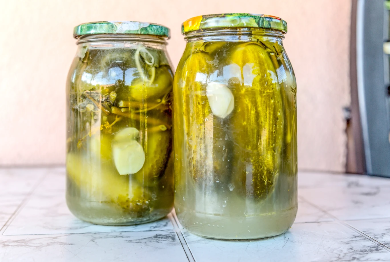 Ogórki kiszone nie będą puste ani śliskie. Dodaj nietypowy składnik do zalewy Ogórki kiszone nie będą puste ani śliskie. Dodaj nietypowy składnik do zalewy