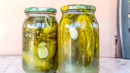 Ogórki kiszone nie będą puste ani śliskie. Dodaj nietypowy składnik do zalewy