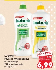 Płyn do naczyń Ludwik