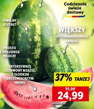 Кавун