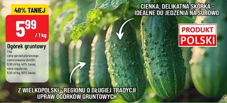 Огірок