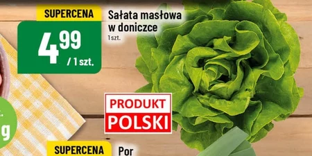 Масляний салат Polski