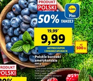 Чорниця Plus-Plus