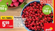 Porzeczki