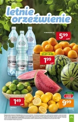 Hitowe produkty tygodnia - Stokrotka Market