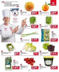 Dla gastronomii - Selgros
