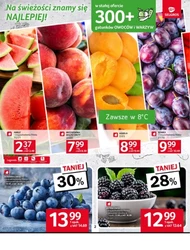 Idealny wybór dla oszczędnych - Selgros