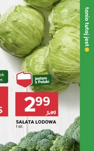 Sałata lodowa Polski
