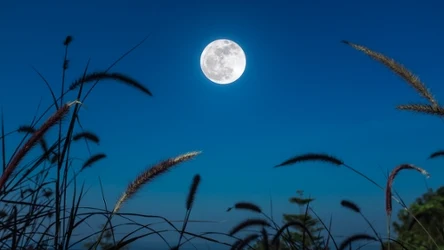 Pełnia Księżyca w sierpniu 2025 to Zbożowy Księżyc. Jak wpłynie na znaki zodiaku?