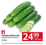 Ogórek