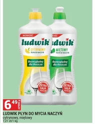 Płyn do mycia ciała Ludwik