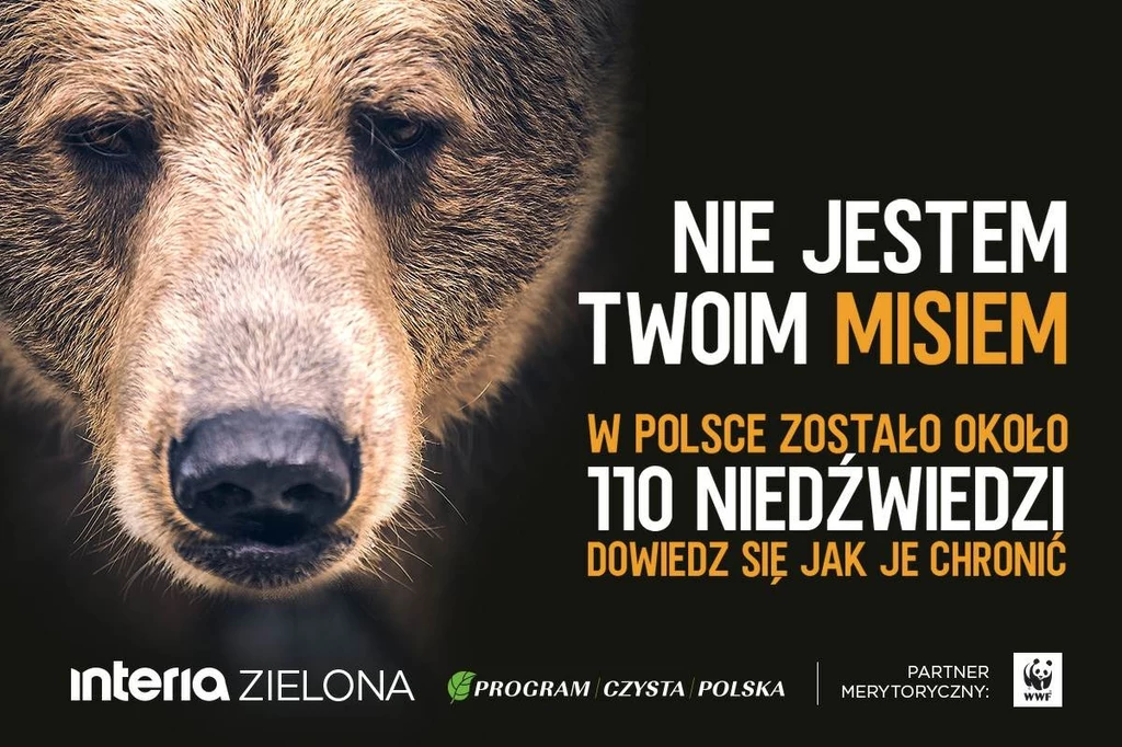 "Nie jestem Twoim misiem" - materiały Zielonej Interii