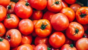 Co jest zdrowsze: świeże pomidory czy ketchup? Odpowiedź zaskakuje
