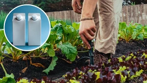 Teściowa wynosi kartony po mleku do ogrodu. Myślałam, że oszalała, aż poznałam powód