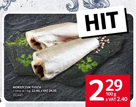 Morszczuk Hit