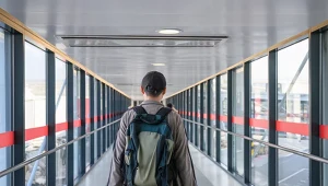 Przemytnicy zwierząt z Afryki zmieniają zwyczaje. Wywożą małe, chronione gatunki owadów 