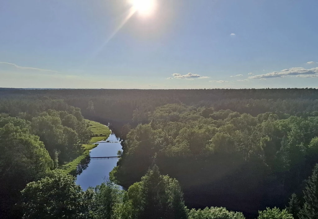 Rzeka przecinająca gęsty las, mostek nad wodą oraz słońce świecące wysoko na jasnym, bezchmurnym niebie.