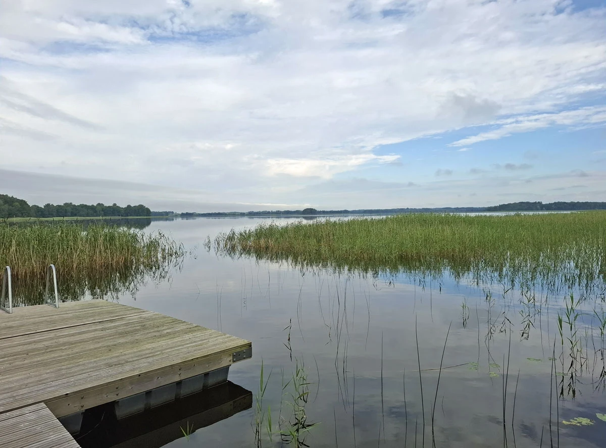 Poranek nad jeziorem Rubikiai, Palaima Drewniany pomost prowadzący do spokojnego jeziora otoczonego wysokimi trawami i trzcinami, w tle rozległa tafla wody oraz linia drzew na horyzoncie pod pochmurnym niebem.