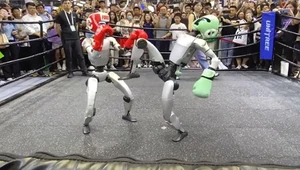 Niezwykła walka robotów-bokserów robi furorę na całym świecie