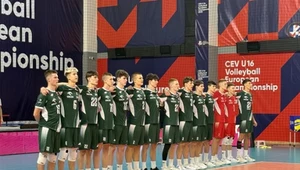 Polscy siatkarze nie przestają zachwycać. Nokaut, bilans 7:0