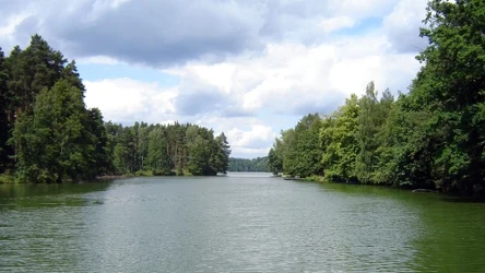 Jezioro Żurskie w Borach Tucholskich 