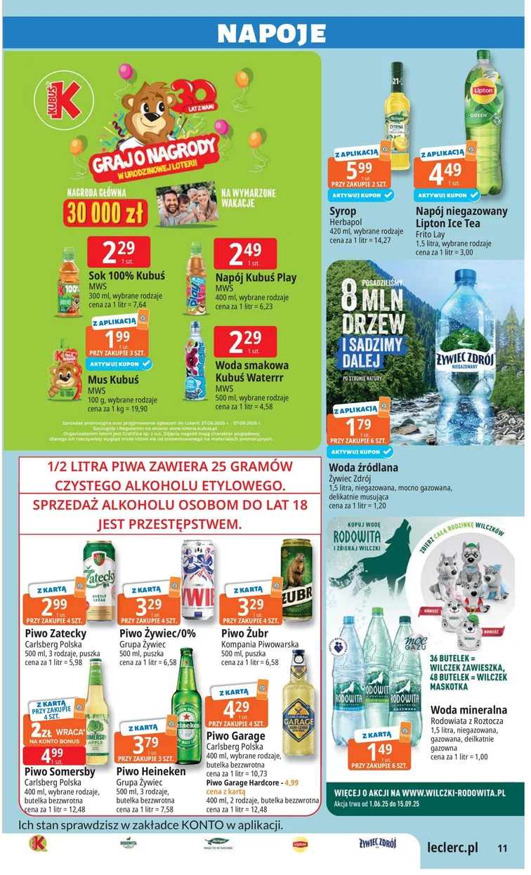 leaflet page preview image