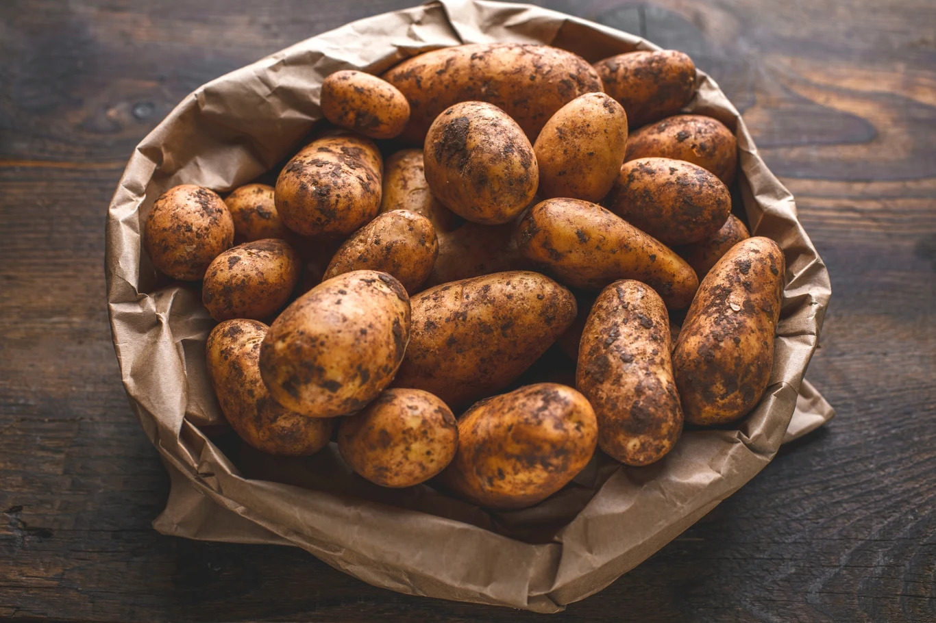 Ojczyzną ziemniaków jest Chile, wiele na to wskazuje Kilka brudnych ziemniaków leży na brązowym papierze na drewnianym stole, światło podkreśla naturalną fakturę warzyw.